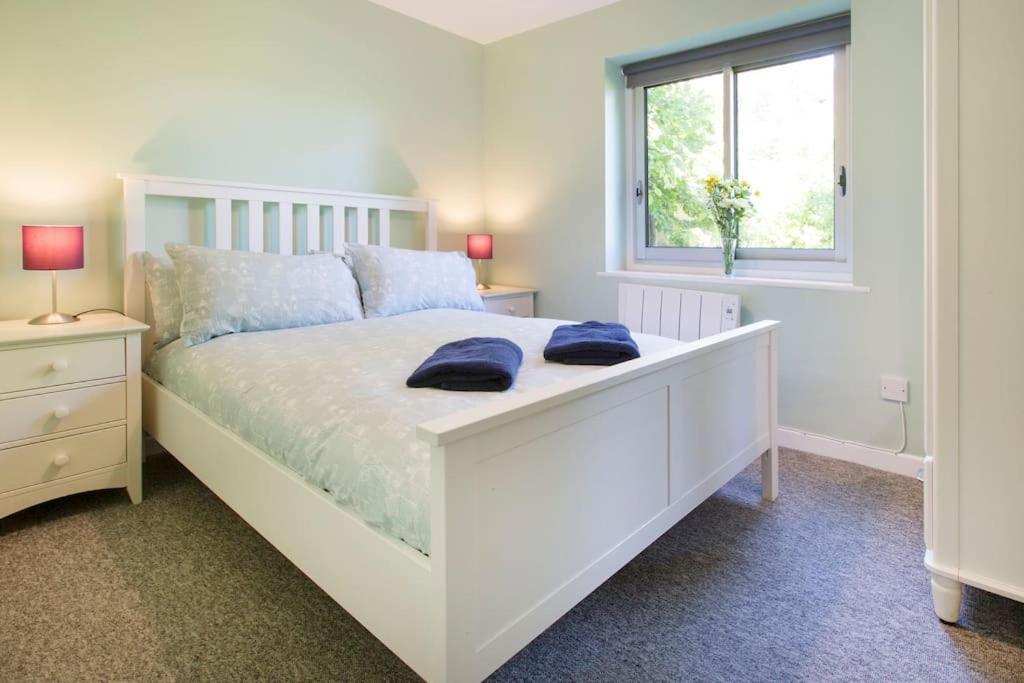 Cosy Modern Oxford Apartment Kültér fotó